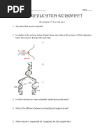 DNA Replication