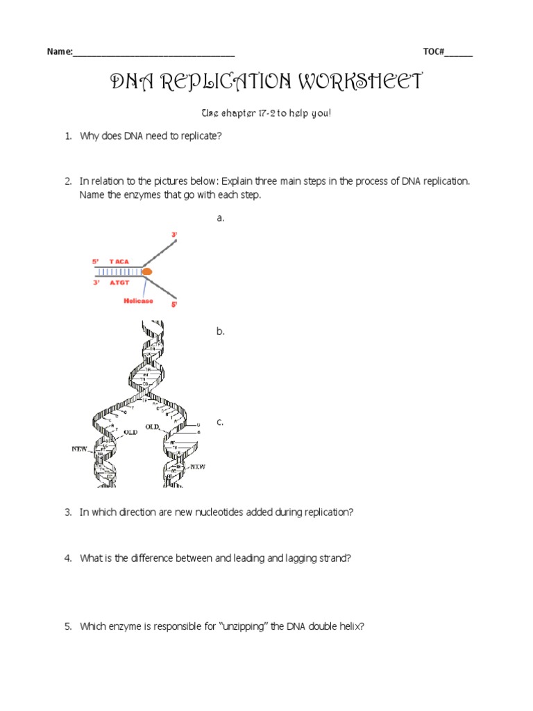 DNA replication With Regard To Dna And Replication Worksheet