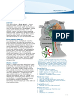 pe-stroke..pdf