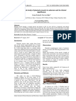 Morphological_study_of_plantaris_muscle.pdf