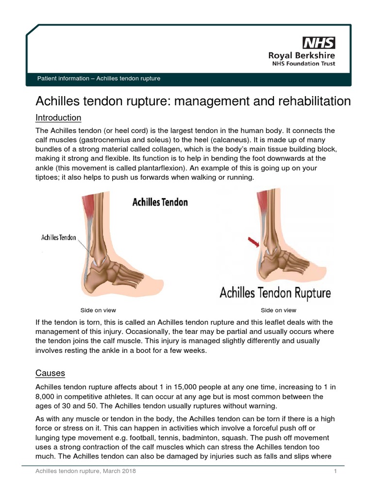 Achilles Tendon Rupture Management Mar18 PDF Tendon Thrombosis