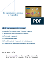 UD.6.Reproducc Asexual