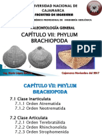 Cap Vii - Phylum Brachiopoda