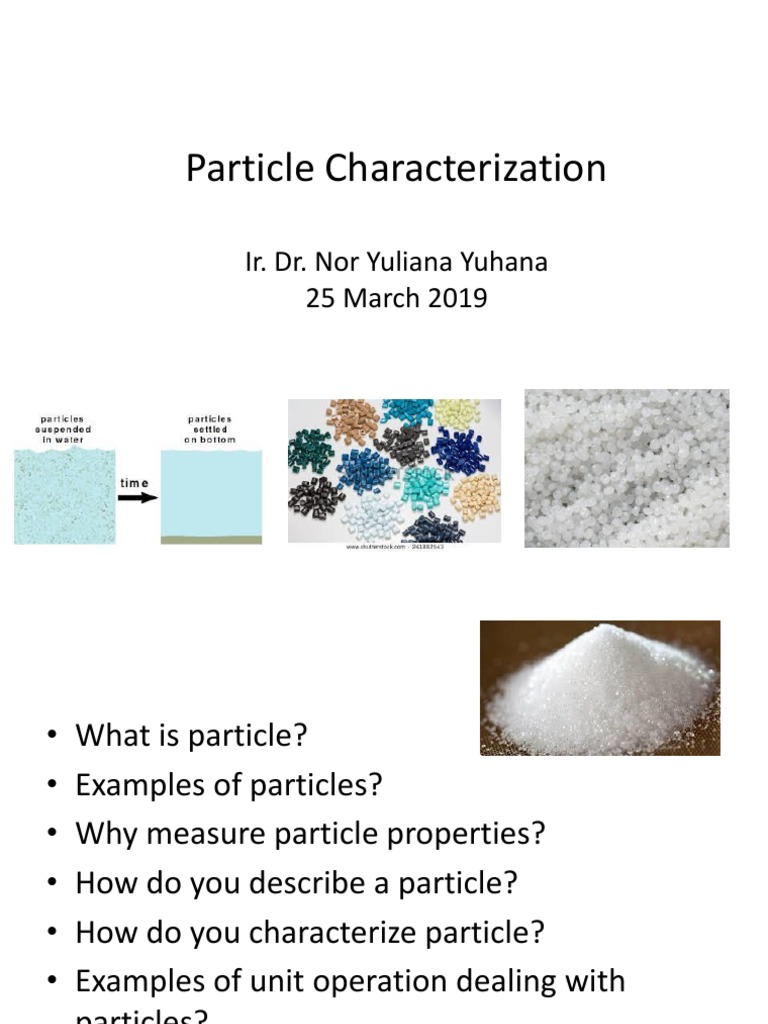 Understanding Particle Characterization | PDF | Particle | Density