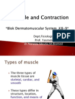 (K8-K9) Muscle Contraction