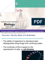 The Cell Cycle: Biology