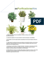 Plantas Purificadoras Del Aire