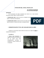 Desobturaci_n_2011_1.pdf