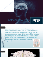 nervios craniales.pptx