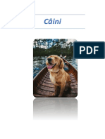 Câini.docx