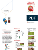 Terapia Genética Fresaaaa