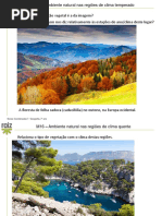 Nc7 m16 Ambiente Natura Climatemperado