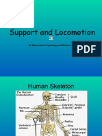 Support and Locomotion: A2 Mammalian Physiology and Behaviour