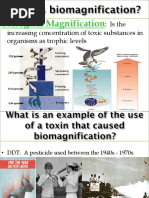 12 - biodiversity biomagnification - weebly