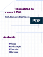 Trauma Punho 2018 PDF