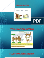 FECUNDACIÓN