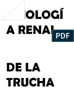 FISIOLOGÍA RENAL DE LA TRUCHA.docx