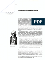 capitulo-13.pdf