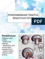 Perkembangan Tractus Digestivus Fetus Dan Neo-Dikonversi