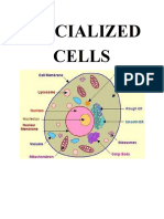 Specialized Cells