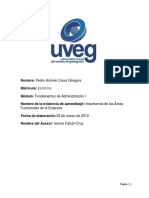 Pedro Antonio Canul Góngora_Importancia de Las Áreas Funcionales