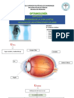 Enfermedades de La Uveafinal 22