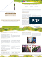 Cultivos Sin Suelo en Sustratos Solidos PDF