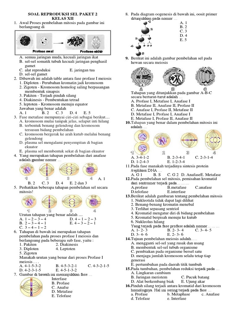 Soal Reproduksi Sels 2 Docx