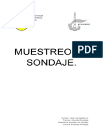 70452959-Muestreo-de-Sondaje.pdf