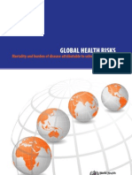 Global Health Risks Report Full