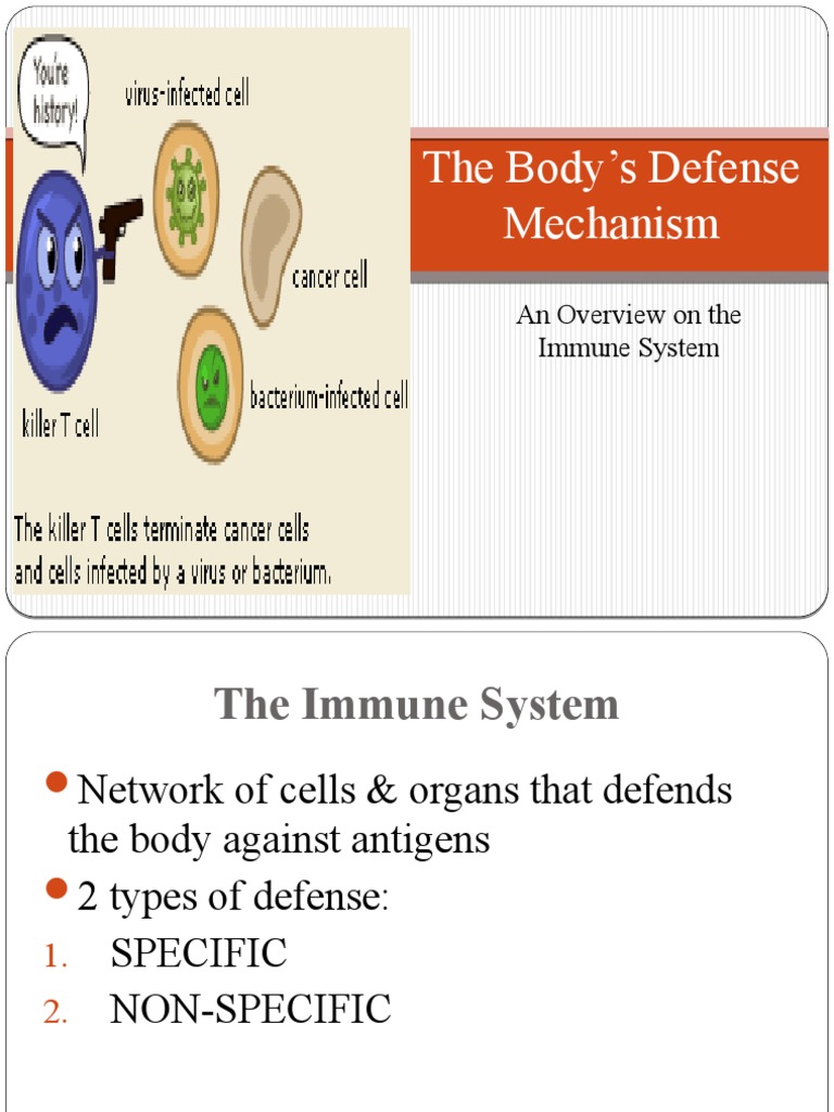 The Body's Defense Mechanism | PDF | Science & Mathematics