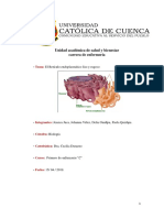 El Retículo Endoplasmático