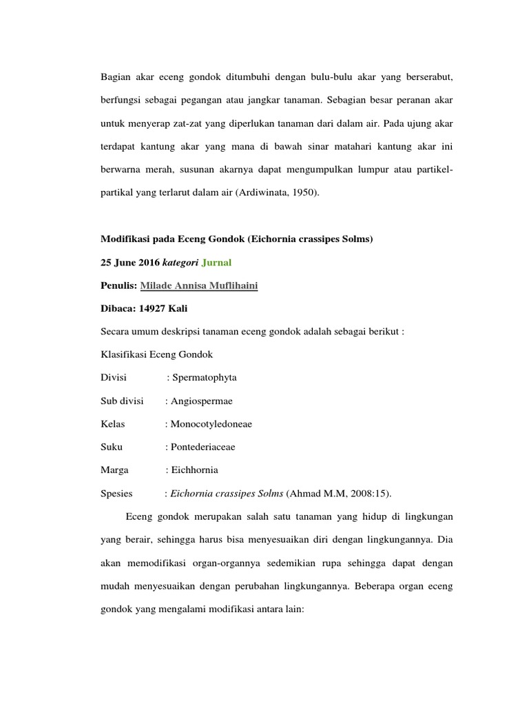 Download 970 Gambar Eceng Gondok Dan Jalur Penyerapan Air Serta Partikel Lainnya  Gratis