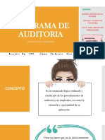 Programa de Auditoria