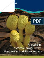 Guide To Common Fungi HCR PDF
