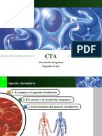 3 Circulacion Sanguinea