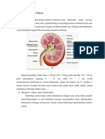 Anatomi Fisiologi Ginjal HD