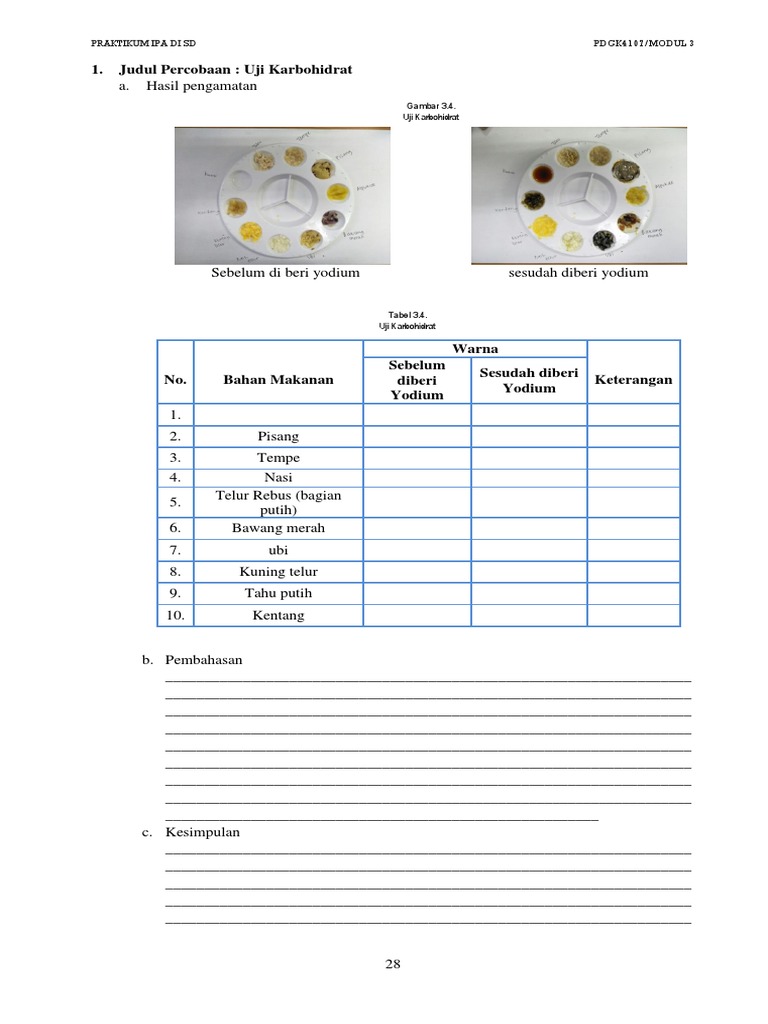 Modul 3 Uji Karbohidrat Protein Dan Lemak Pdf