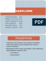 Anabolisme - PPT - REVISI