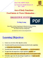 10 Digestive System PDF