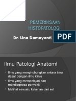 Pemeriksaan Histopatologi