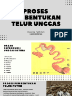 Ptu Kuliah