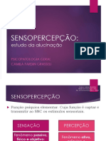 Aula 3 - Sensopercepção