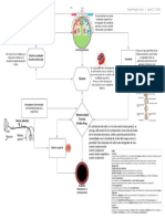 Integración Vías Nerviosas