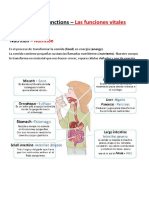 The Vital Functions