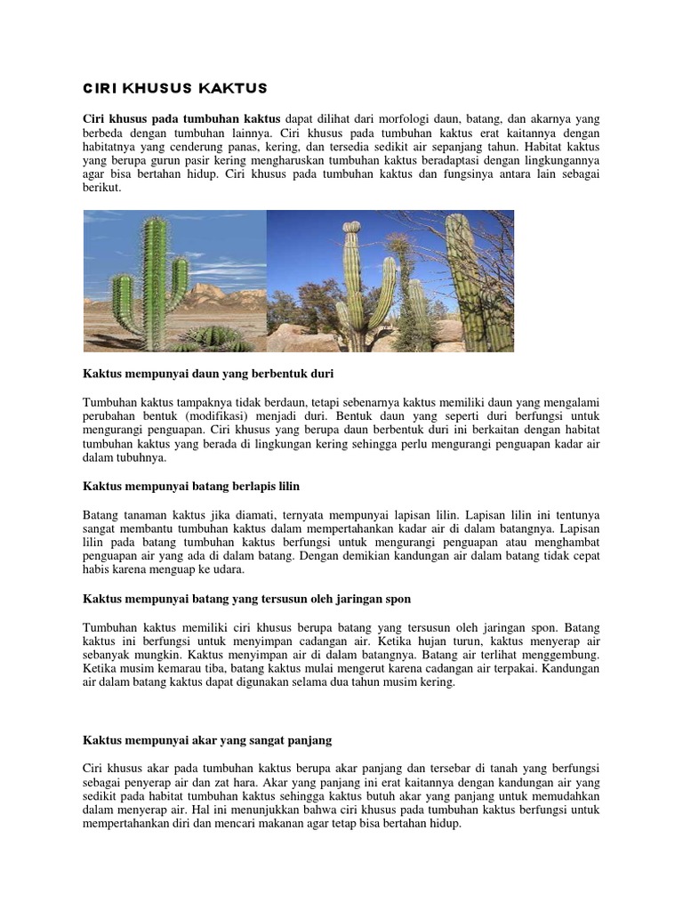 Ancaman Di Bidang Pertahanan Dan Keamana Pdf