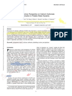 A 21 Century Perspective On Calcium Carbonate Formation