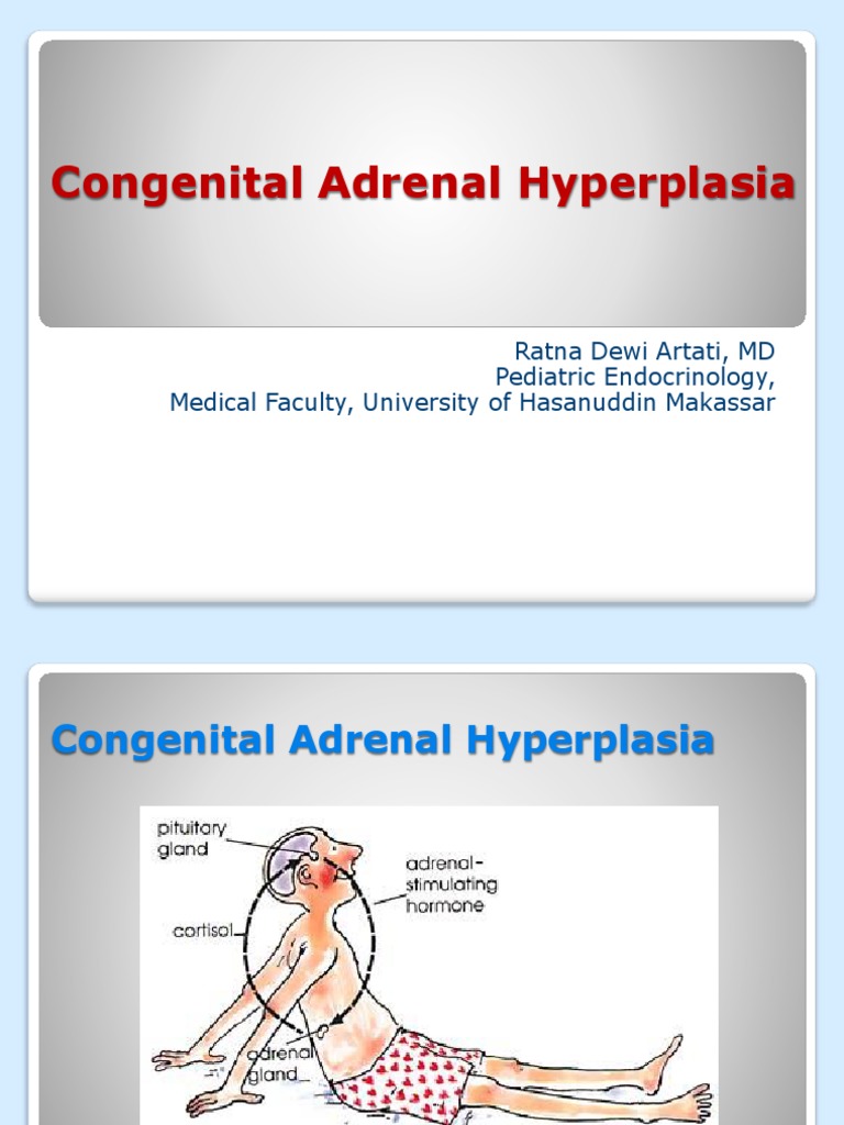 9. Congenital Adrenal Hyperplasia (1) Adrenal Gland Endocrinology