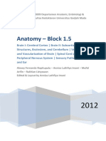 177755_Anatomi neuro.pdf