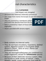 PHYLUM - PLATYHELMINTHES - PPTX Filename - UTF-8''PHYLUM PLATYHELMINTHES-1